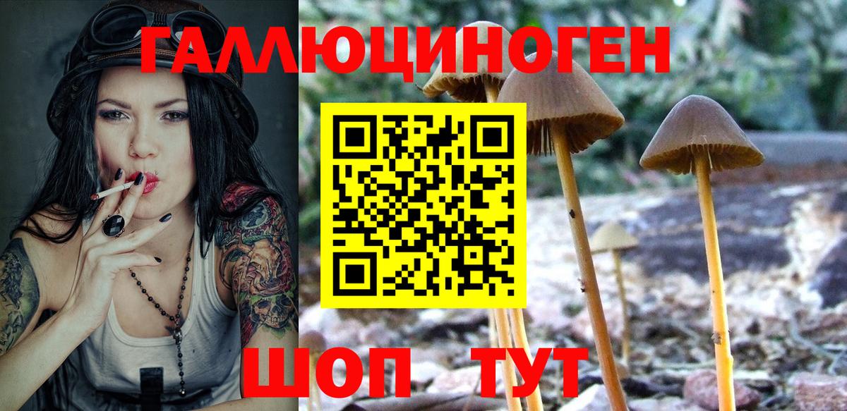 Галлюциногенные грибы MAGIC MUSHROOMS Мурманск