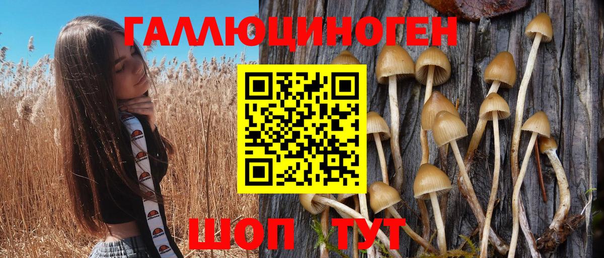 Псилоцибиновые грибы ЛСД  продажа наркотиков  Мурманск  Вход с VPN 